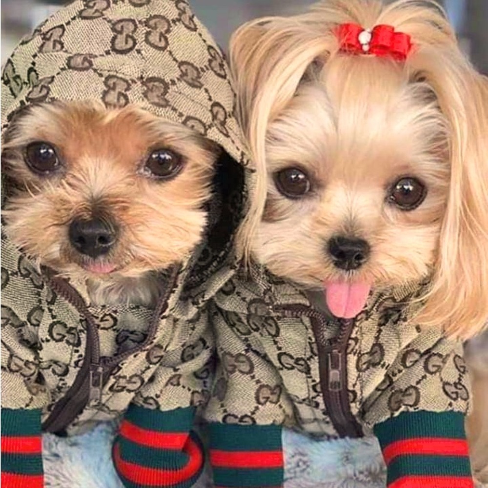 Meet your Posher, Callmesassy